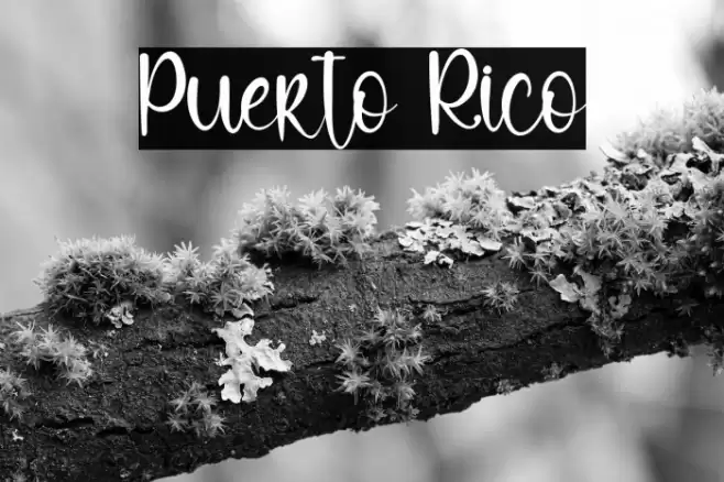 Puerto Rico Font examples