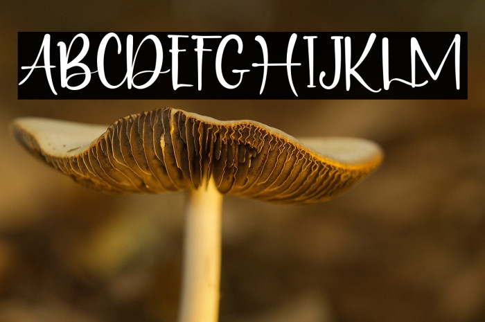 PuertoRico Example 1