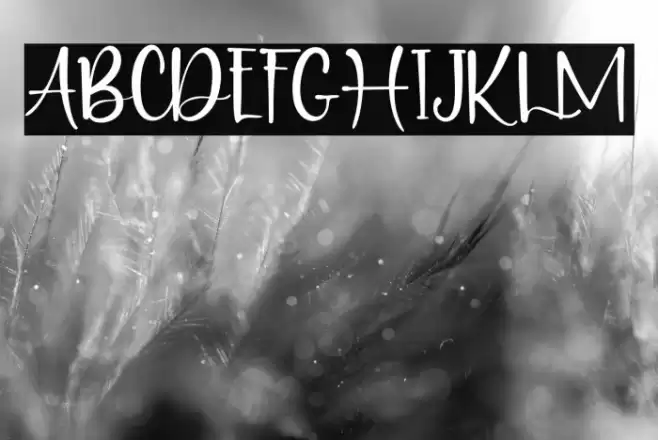 PuertoRico Font examples