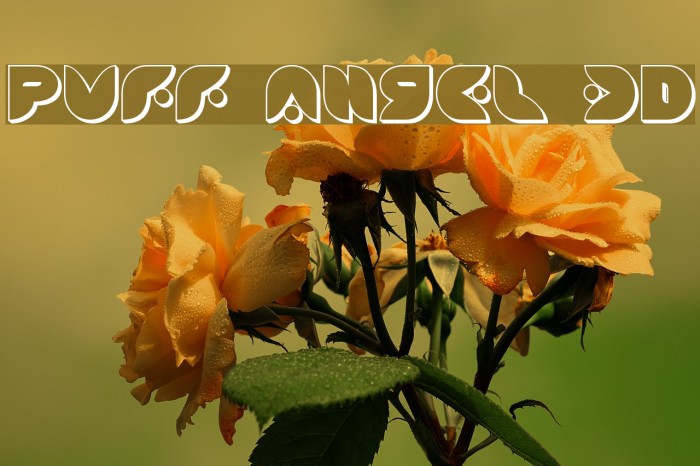 Puff Angel 3D Font examples
