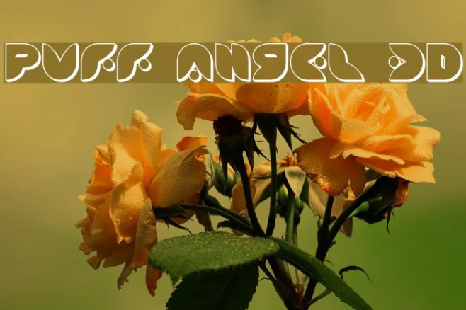Puff Angel 3D Example 2