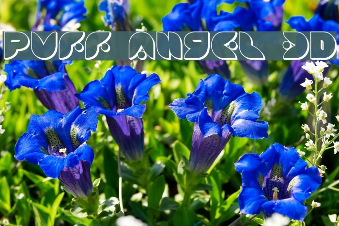 Puff Angel 3D Font examples