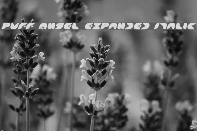 Puff Angel Expanded Italic Font examples