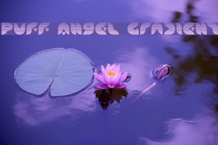 Puff Angel Gradient Font examples