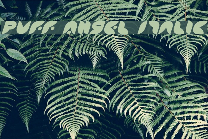 Puff Angel Italic Font examples