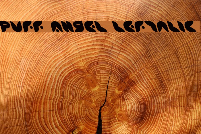 Puff Angel Leftalic Font examples