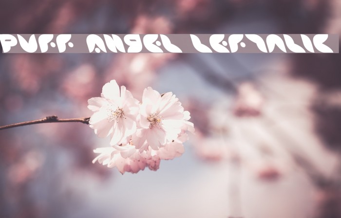 Puff Angel Leftalic Font examples