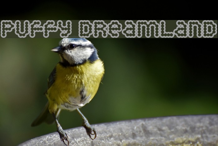 Puffy Dreamland Font examples