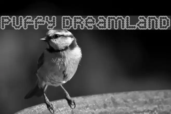 Puffy Dreamland Fuentes examples