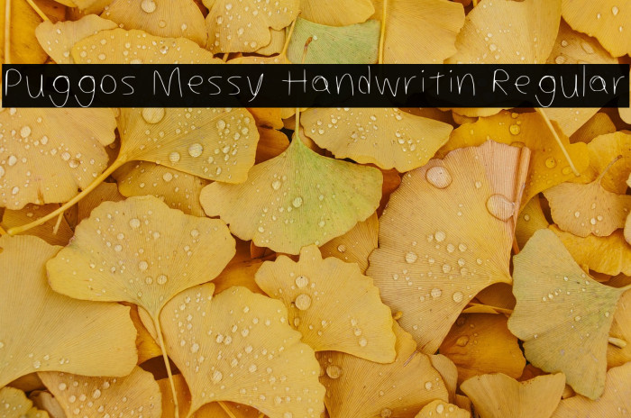 Puggos Messy Handwritin Regular Example 1