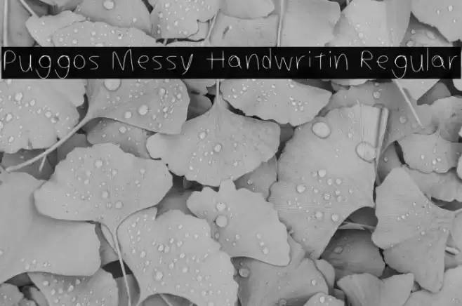 Puggos Messy Handwritin Regular Schriftart examples