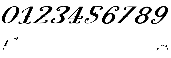 Pugsley Oblique Font OTHER CHARS