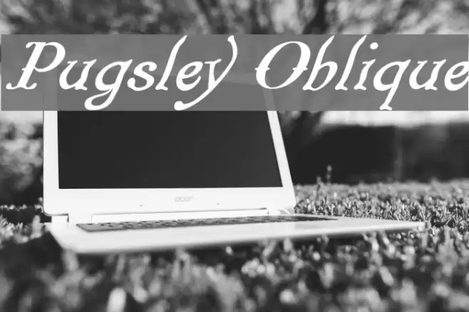Pugsley Oblique Font examples