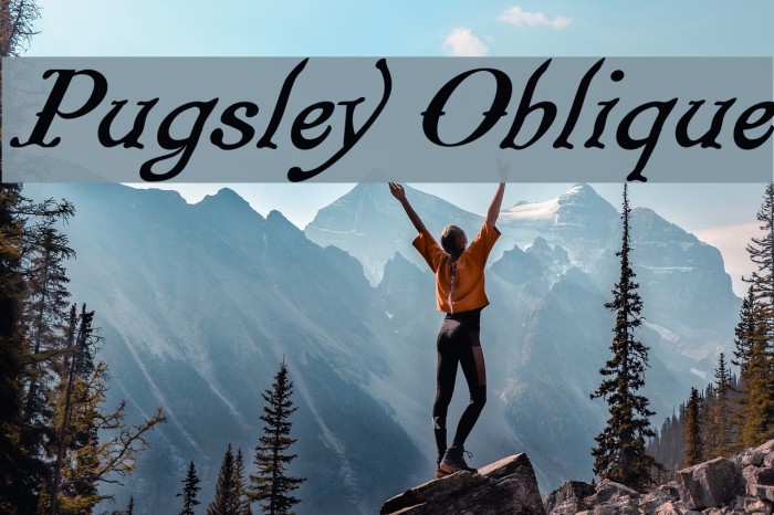 Pugsley Oblique Font examples