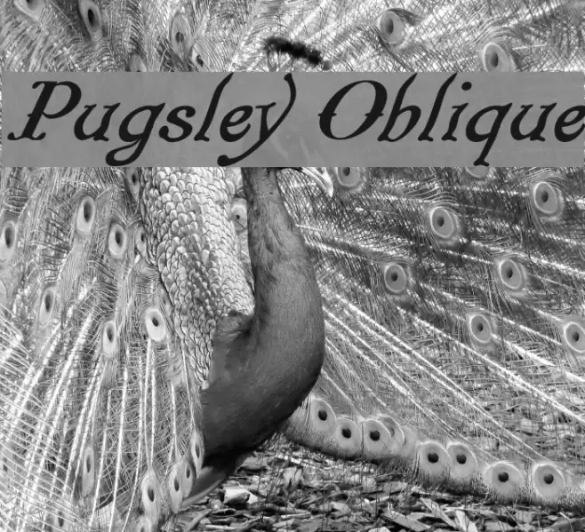 Pugsley Oblique Font examples