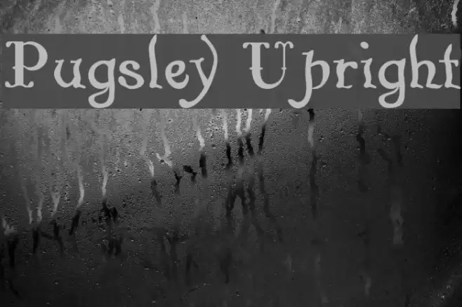 Pugsley Upright Font examples