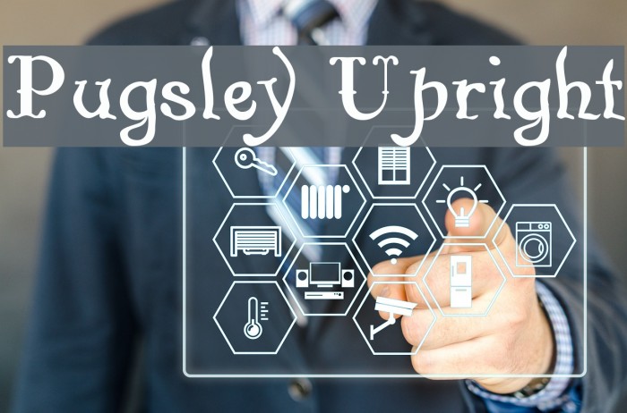 Pugsley Upright Example 2