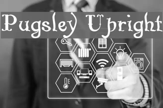 Pugsley Upright Font examples