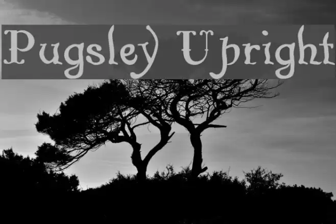 Pugsley Upright Font examples