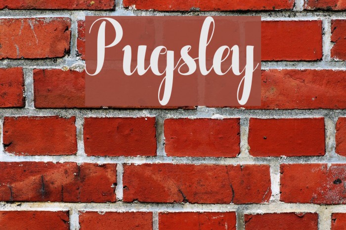 Pugsley Example 1