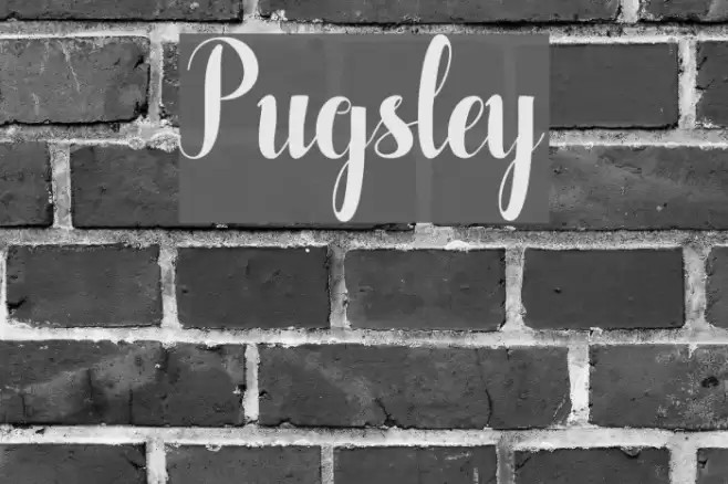 Pugsley Font examples