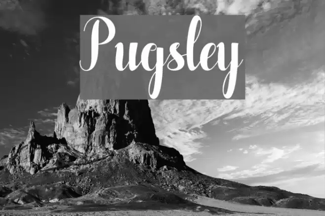 Pugsley Font examples