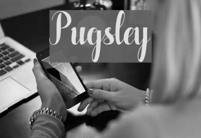 Pugsley Font examples