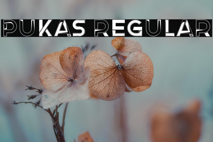 Pukas Regular Example 1