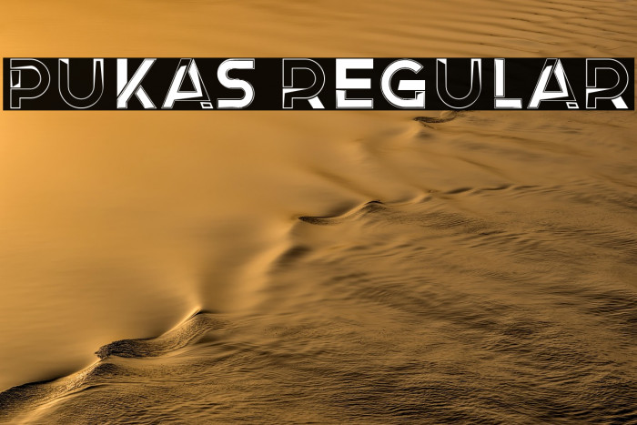 Pukas Regular Example 2