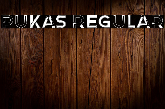 Pukas Regular Example 3