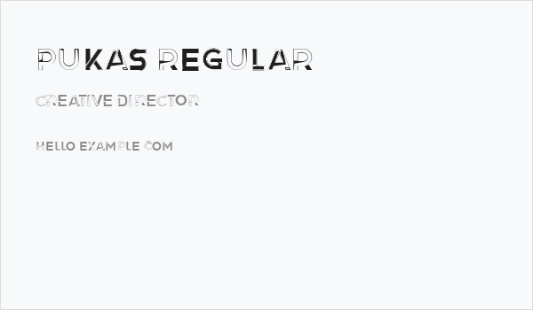 Pukas Regular Business Card