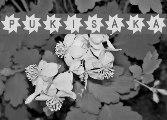 Pukisaka Font examples