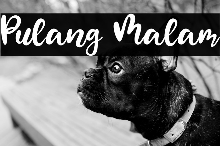 Pulang Malam Example 1