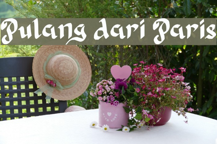 Pulang dari Paris Example 1