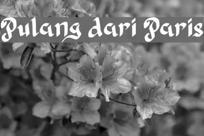 Pulang dari Paris Font examples