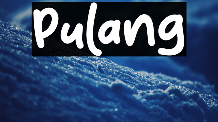 Pulang Example 3