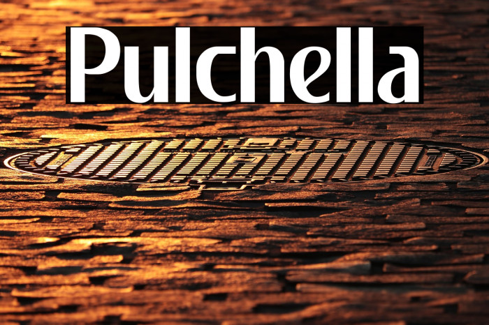 Pulchella Example 1