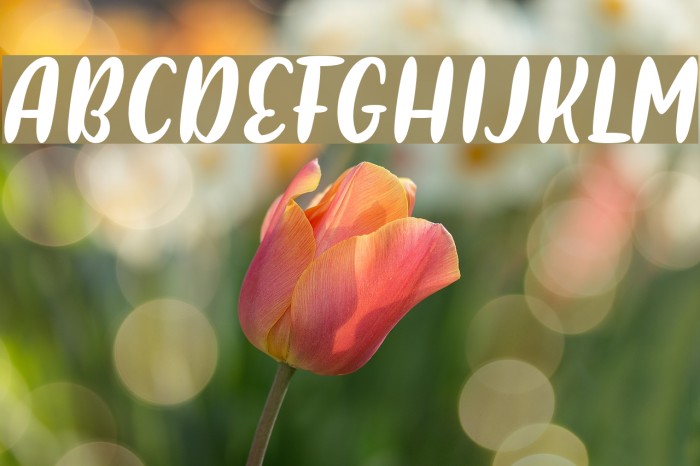 Pulen Font examples