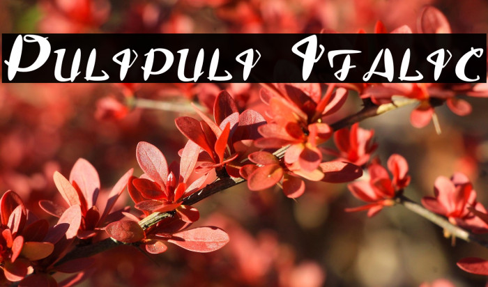 Pulipuli Italic Example 1