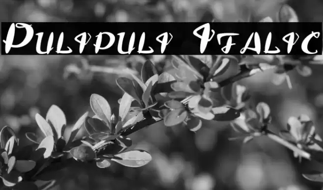 Pulipuli Italic Fonte examples