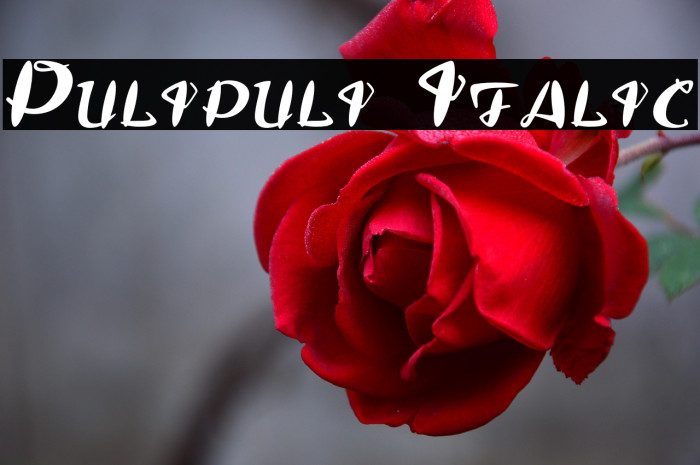 Pulipuli Italic Example 3