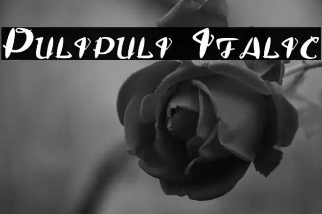 Pulipuli Italic Fonte examples
