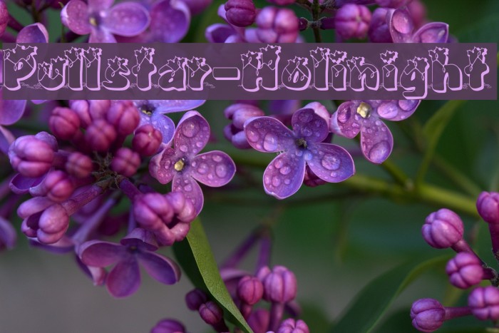 Pullstar-Holinight Font examples