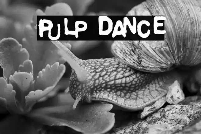 Pulp Dance Font examples
