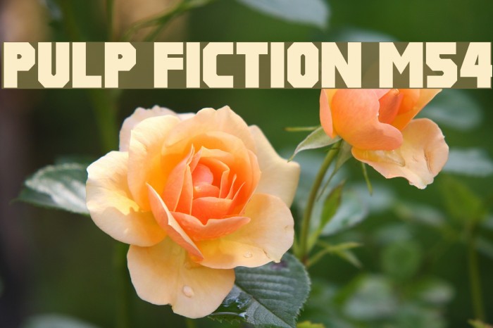 Pulp Fiction M54 Fonte examples