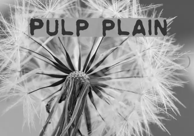 Pulp plain Font examples