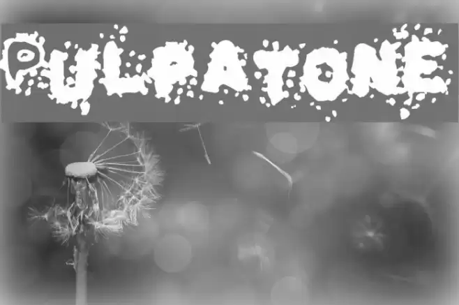 Pulpatone Font examples