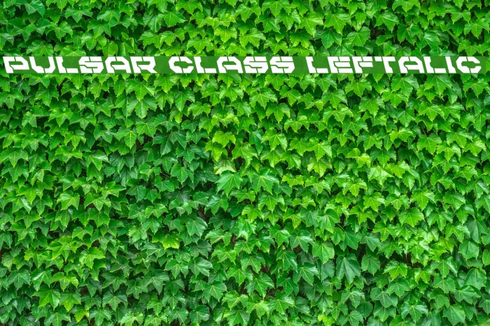 Pulsar Class Leftalic Font examples