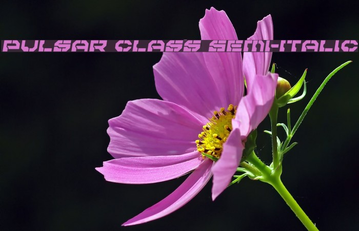 Pulsar Class Semi-Italic Font examples