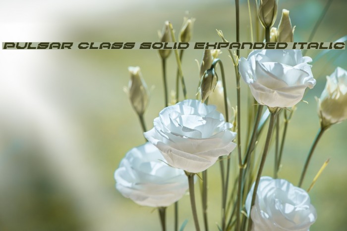 Pulsar Class Solid Expanded Italic Font examples